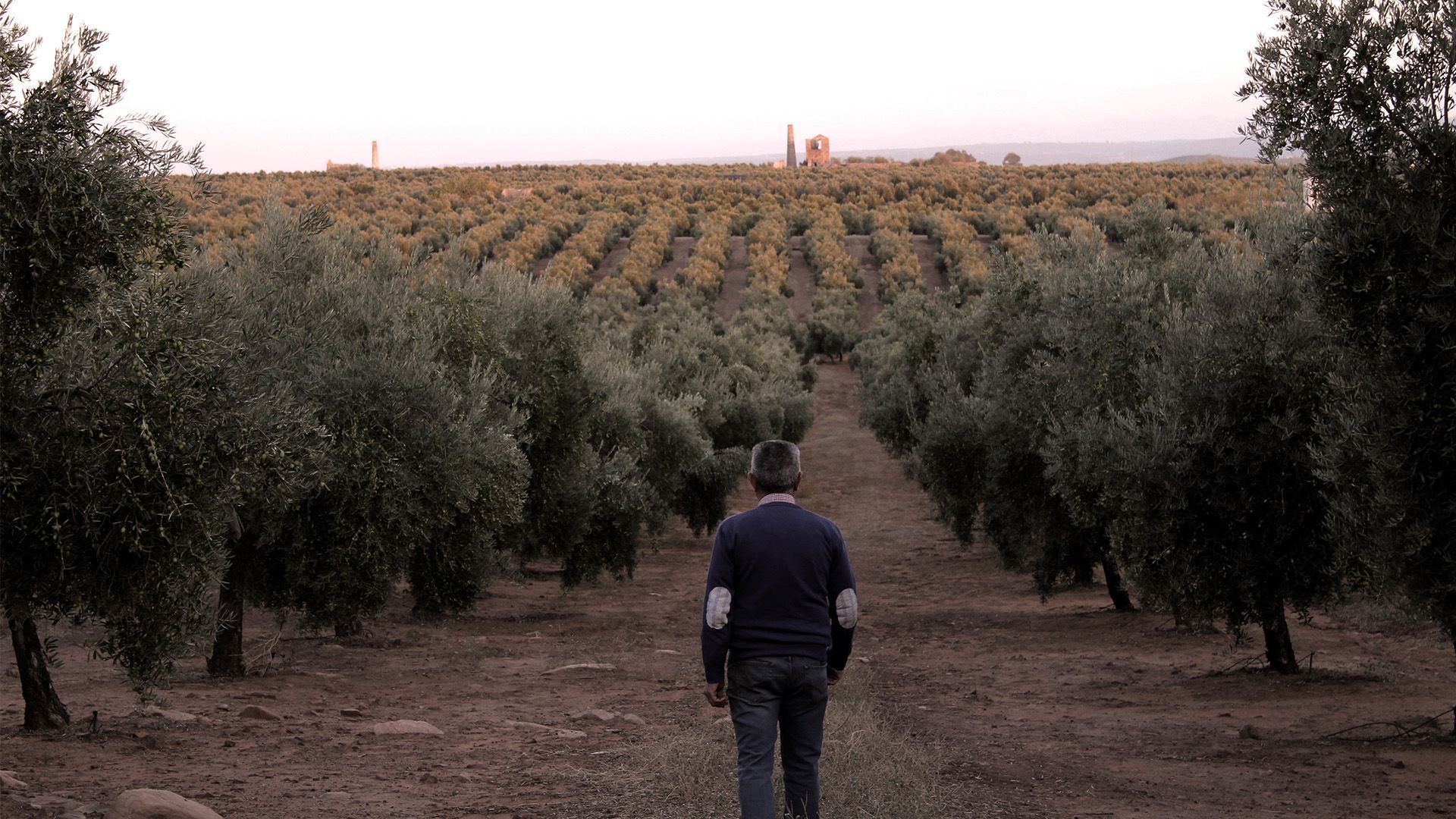 La finca Los Quinientos